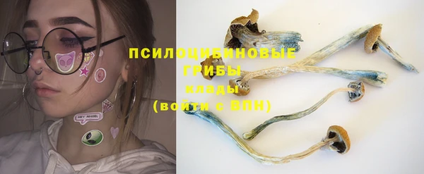 ALPHA PVP Кодинск