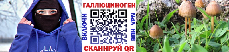 Псилоцибиновые грибы Magic Shrooms  Купить где  Верещагино 